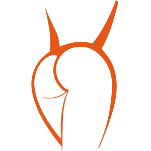 Grey's Secret Room Logo