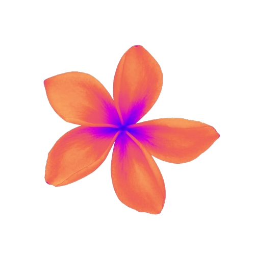 Plumeria Logo