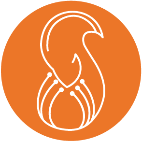 Squirai Logo