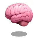 Brain in Vat - Chrome Extension Logo
