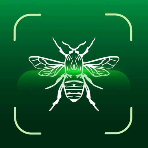 Insect Identifier: Bug Finder Logo
