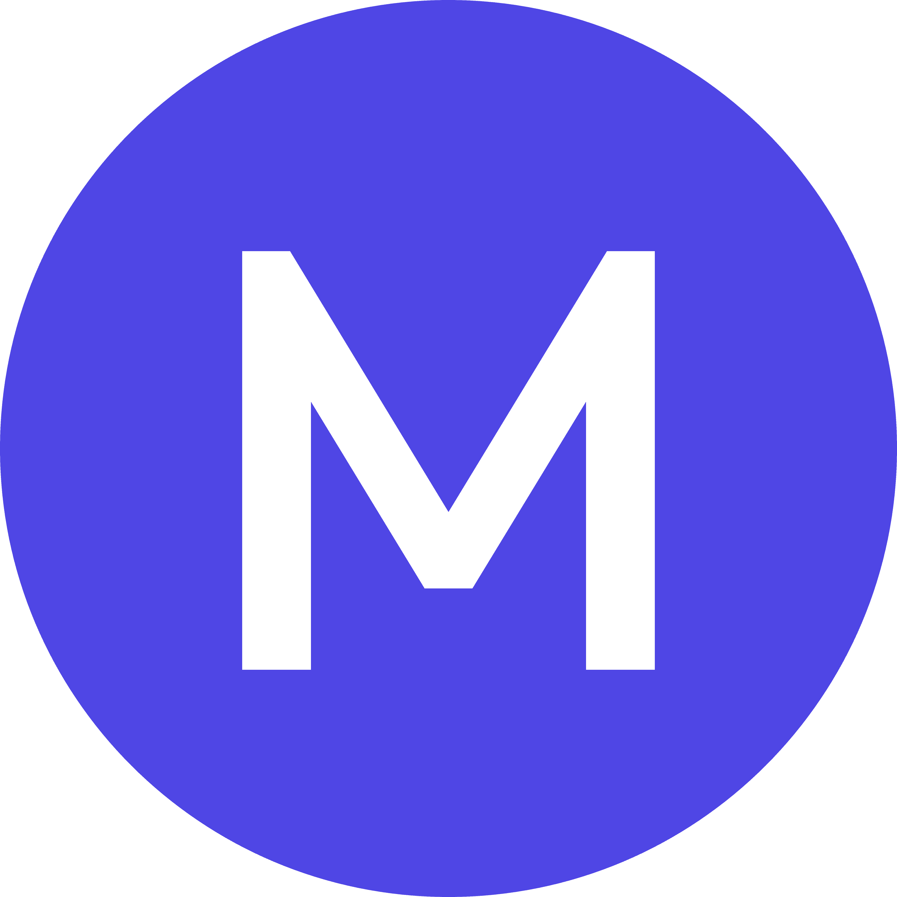 Madison AI Logo