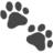 Pet Lens AI Logo