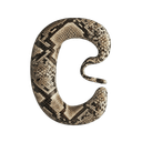 Python Converter Logo