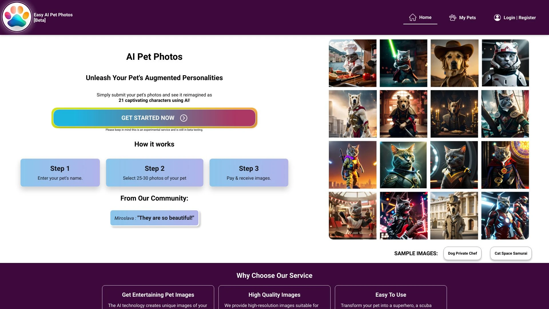 AI Pet Photos - AI Tool Ocean