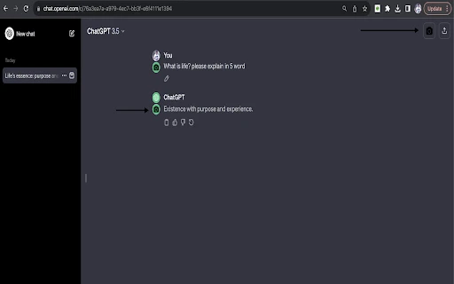 ChatGPT Snapshot - Chrome Extension - AI Tool Ocean