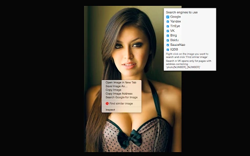 Find Similar Image - Chrome Extension - AI Tool Ocean