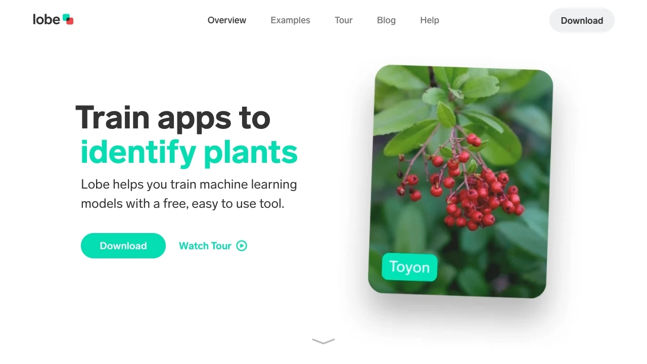 GitHub - AI Tool Ocean