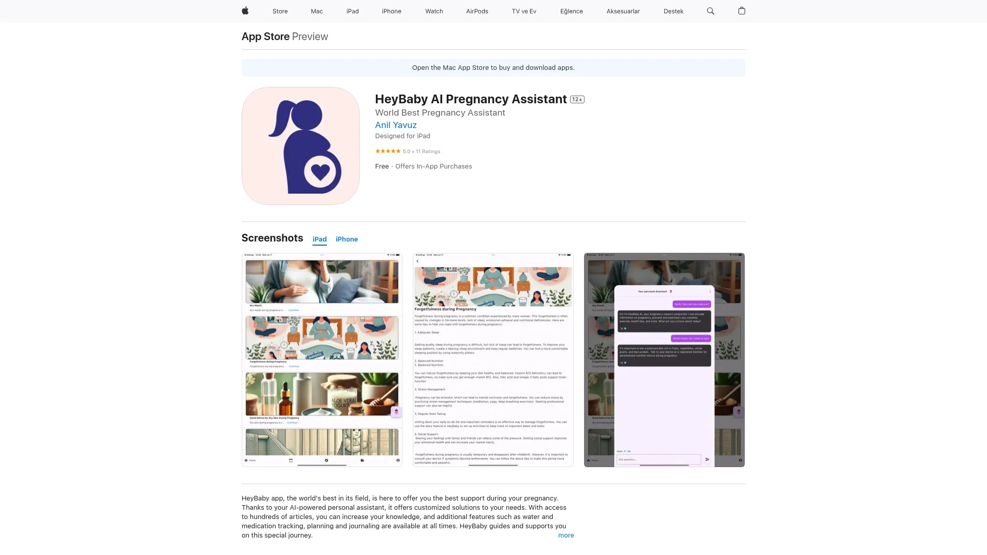 HeyBaby AI Pregnancy Assistant - AI Tool Ocean
