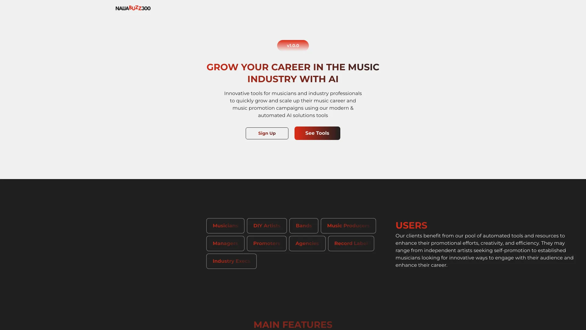 NaijaBuzz300 - AI Tool Ocean