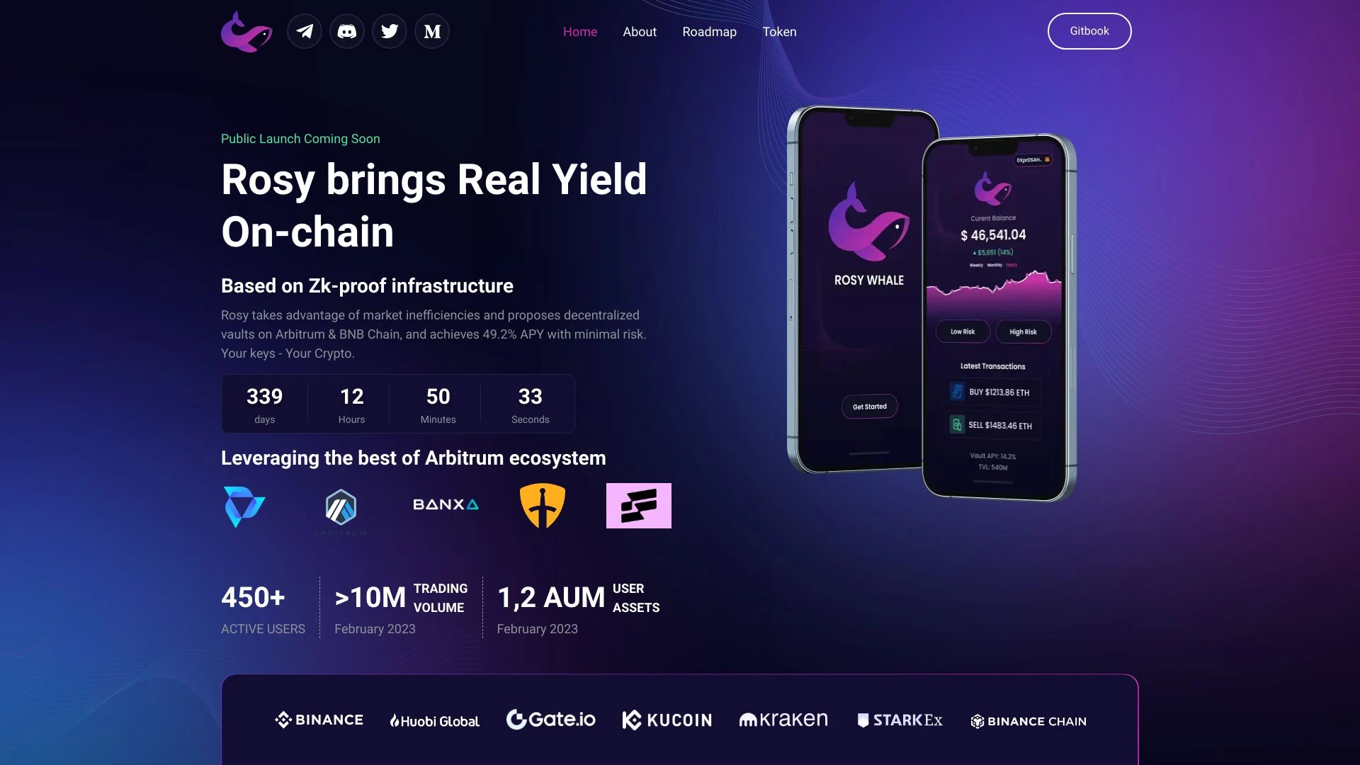 Rosy - AI Tool Ocean