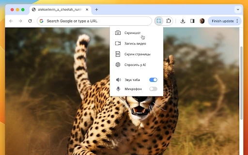 Skrinshoter - Chrome Extension - AI Tool Ocean