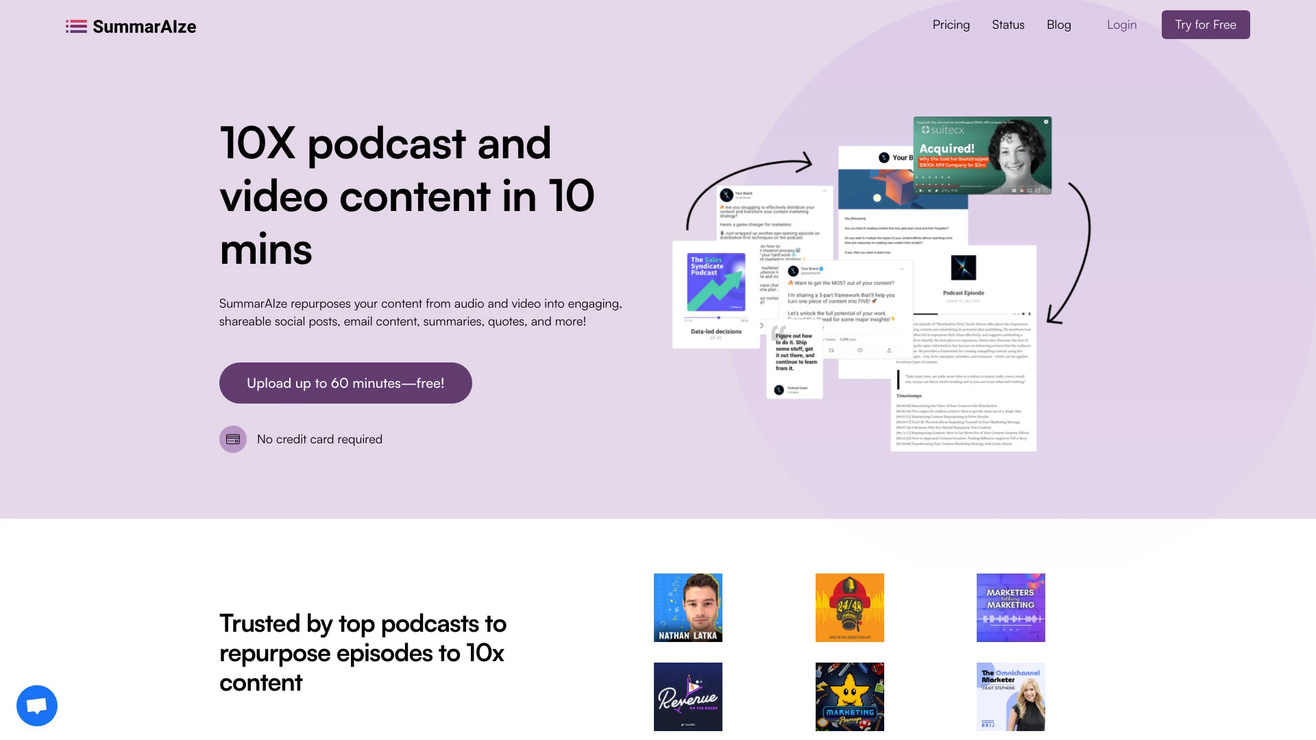 SummarAIze - AI Tool Ocean