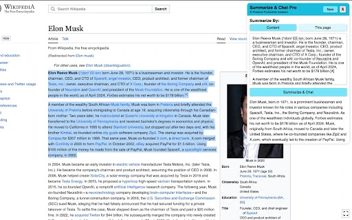 Summarize & Chat Pro - Chrome Extension - AI Tool Ocean