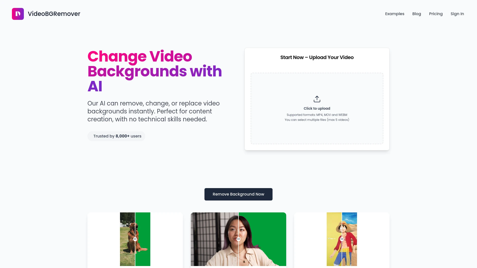 VideoBGRemover - AI Tool Ocean
