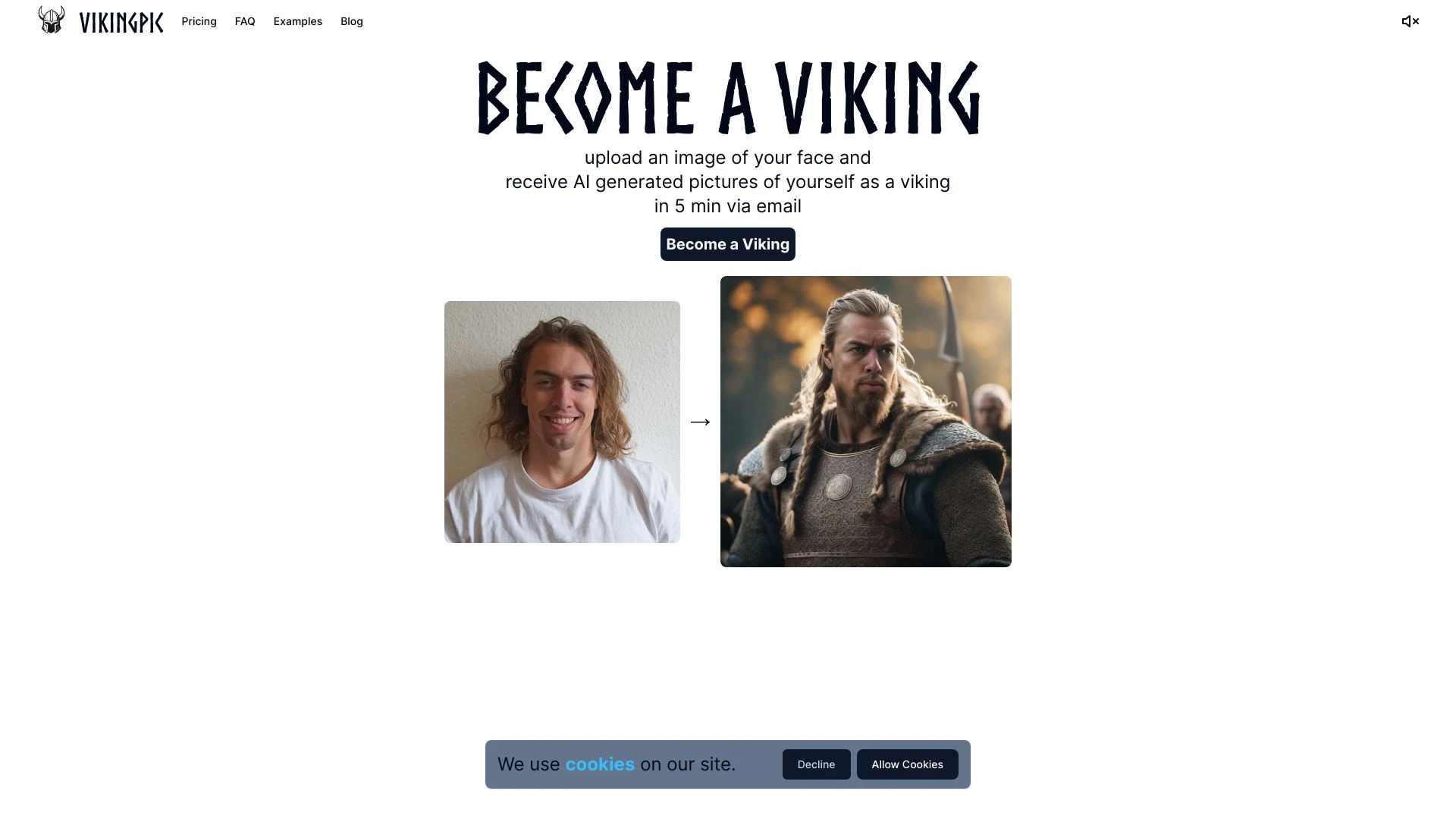 VikingPic - AI Tool Ocean