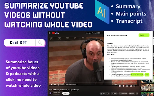 YouTube Summarizer - Chrome Extension - AI Tool Ocean